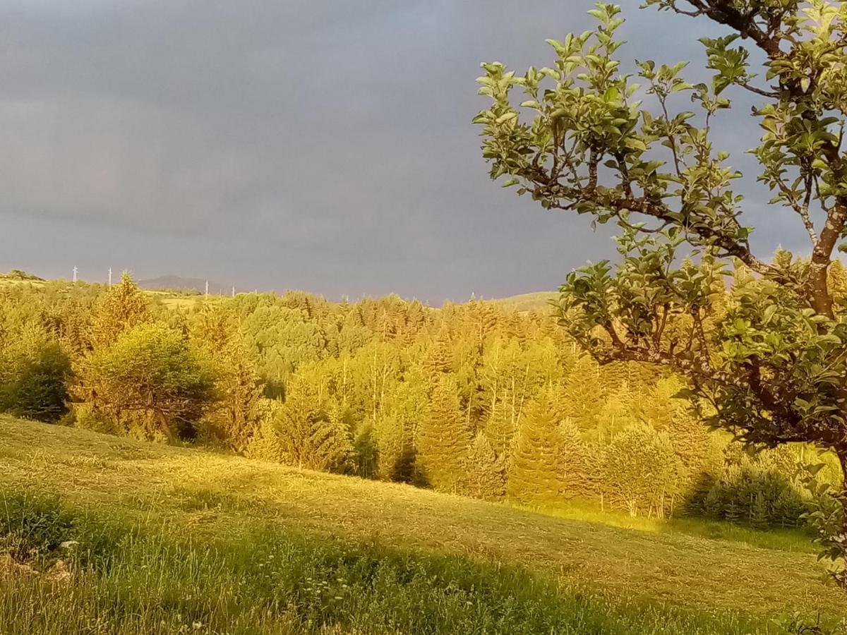 Vila Trtovic Нова-Варош Екстер'єр фото